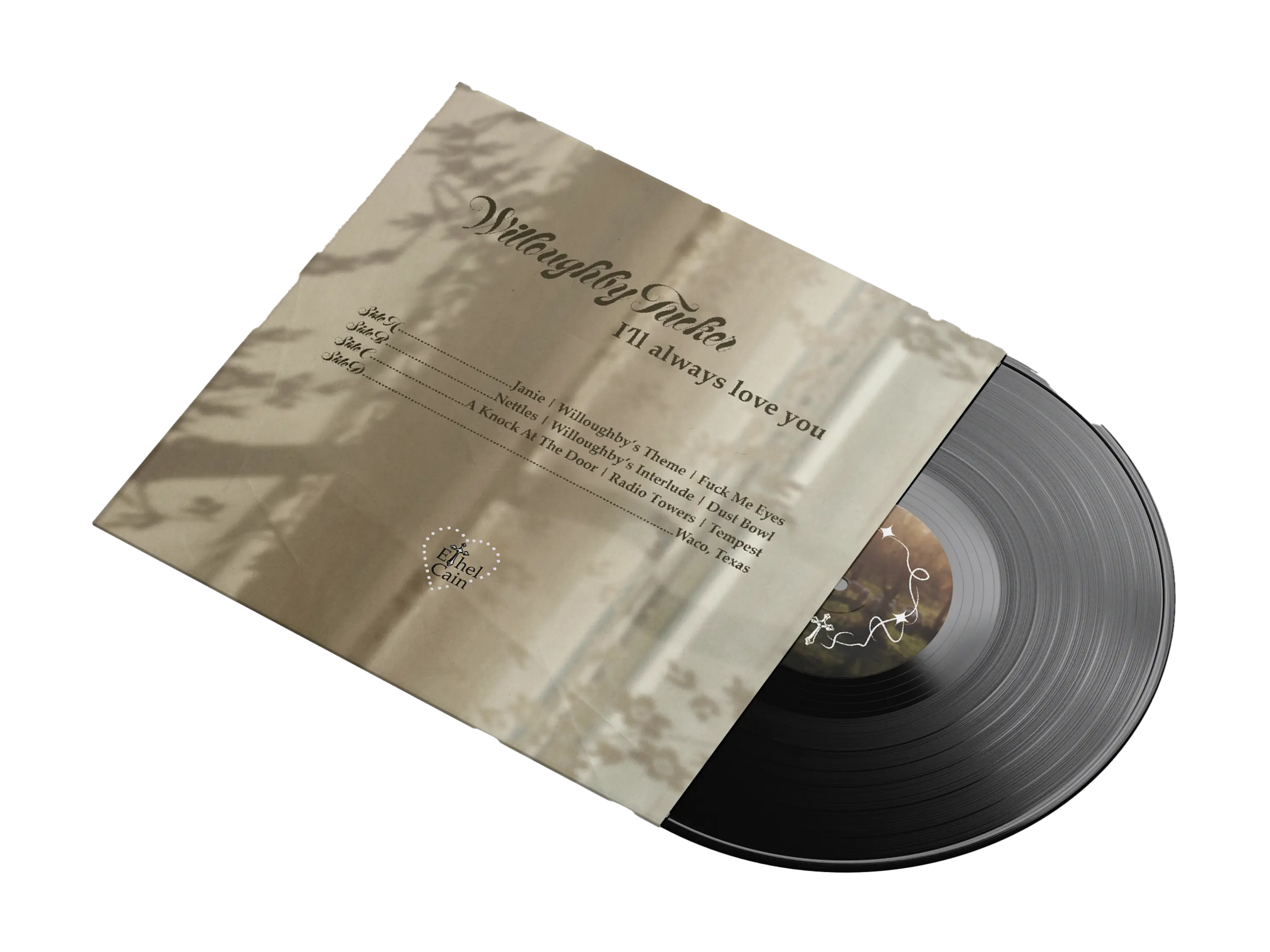 vinyl mockup 2